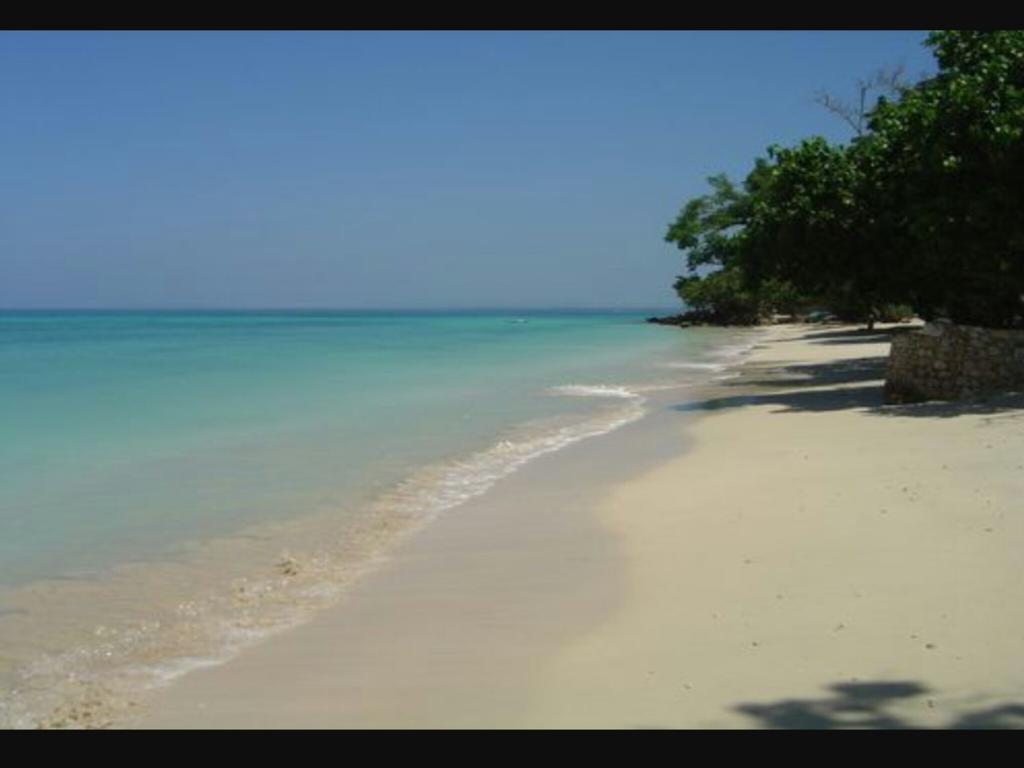 Shades Cottage Guesthouse Blue Hole Екстериор снимка